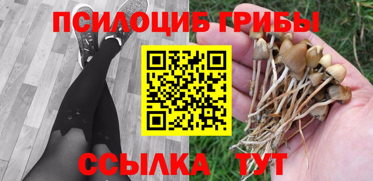 Псилоцибиновые грибы ЛСД Орск